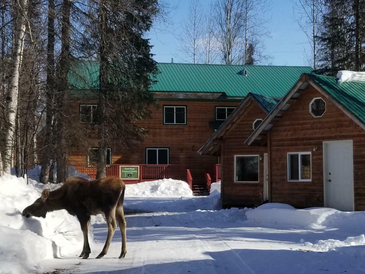 Talkeetna Hideaway Hotell Eksteriør bilde